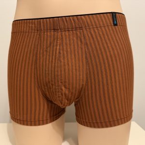 SCHIESSER - Boxer