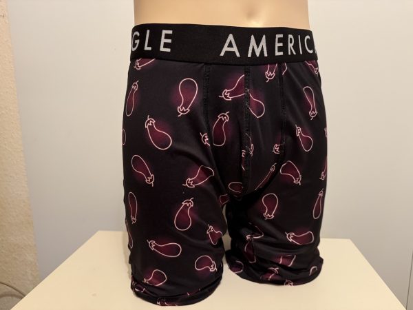 AMERICANEAGLE - obergine